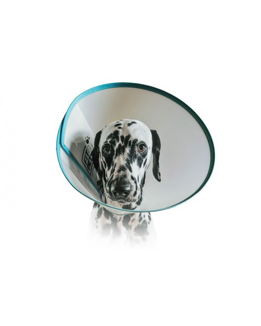 Pooperační límec značky Fit4Pets se suchým zipem a lemováním, modrý