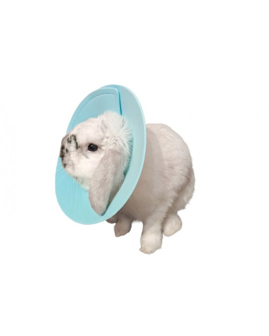 Pooperační límec značky Fit4Pets, pro hlodavce, suchý zip, modrý