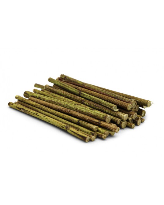 Stonky topinamburu značky Dr Rodents 100g