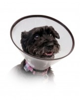 Kołnierz ochronny dla zwierząt, zatrzaskowy