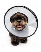 Kołnierz ochronny dla zwierząt, zatrzaskowy