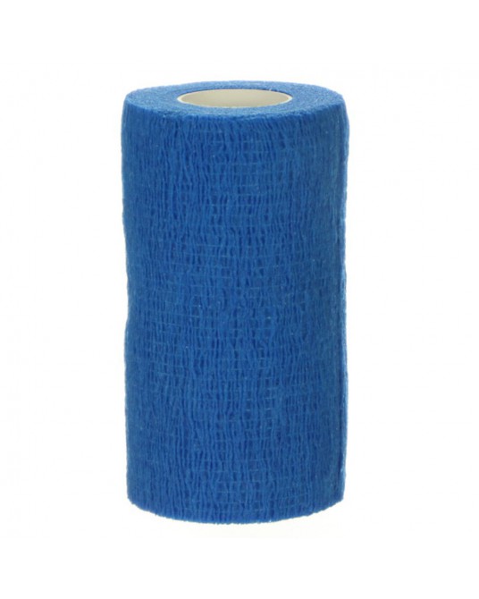 Kohezní obvaz EPSILON BAND Premium 10cm 12 ks