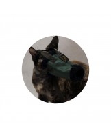 Kaganiec dla kota r. 1 - kot mały, devon rex itp. - Sklep medyczny / weterynaryjny - Sigmed