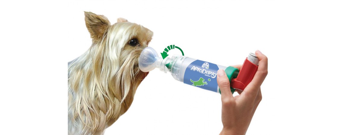 Inhalátory
