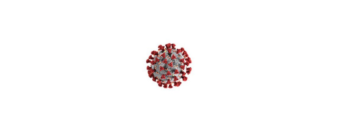 Koronavirus SARS-CoV-2