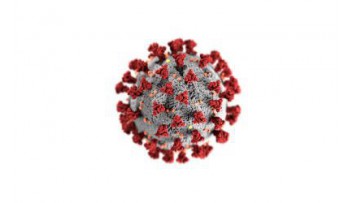 Koronavirus SARS-CoV-2